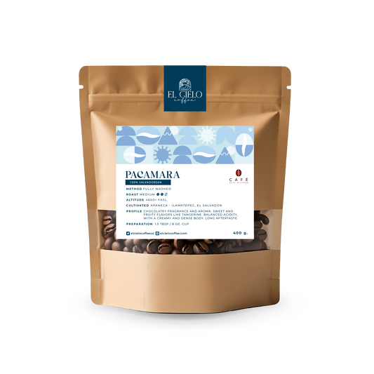 Pacamara